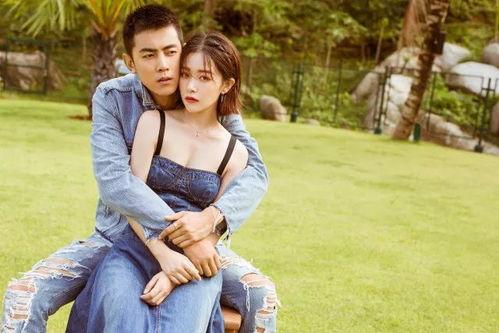 爱吃糖吃瓜系统娱乐圈,揭秘明星们的甜蜜生活与八卦风云