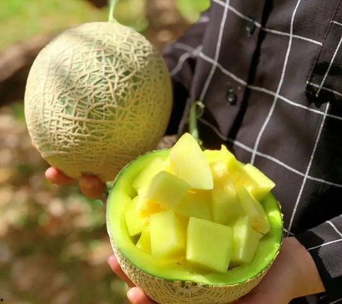 娱乐吃瓜在国外,揭秘海外“吃瓜”文化现象