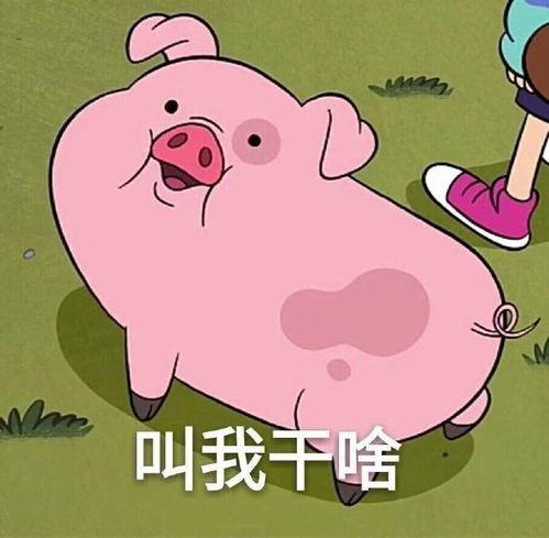 吃瓜猪娱乐新型道歉方式,新型道歉方式席卷娱乐圈