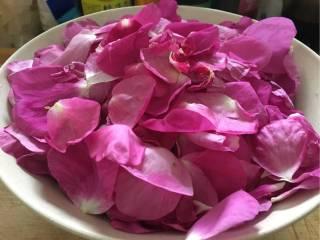 娱乐吃瓜酱玫瑰,玫瑰背后的故事揭秘